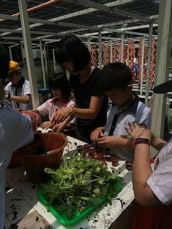 放大圖：