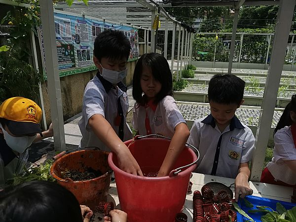 放大圖：