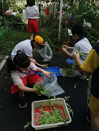 放大圖：
