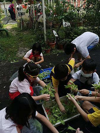 放大圖：