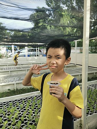 放大圖：
