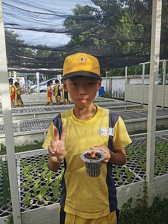 放大圖：