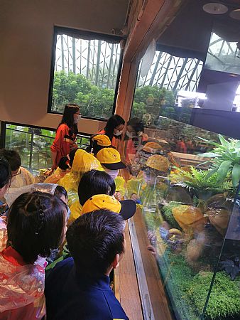 放大圖：