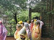 縮圖：