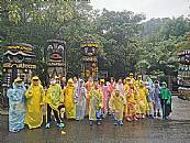 縮圖：