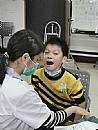 最新相簿圖片縮圖：