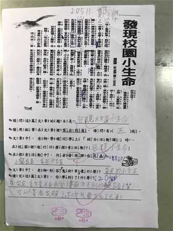 放大圖：