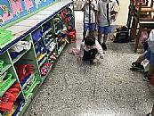 縮圖：
