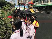 最新相簿圖片縮圖：