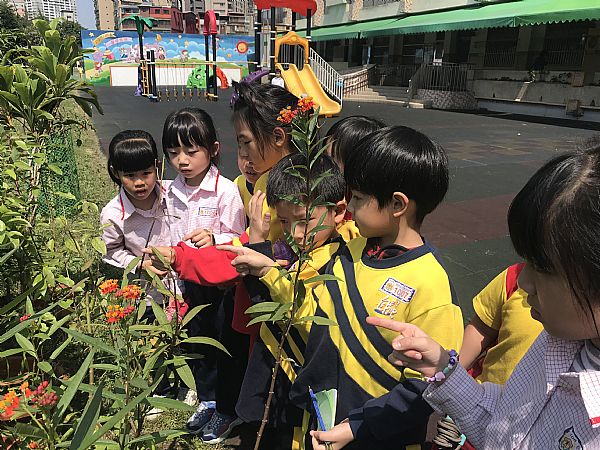 放大圖：