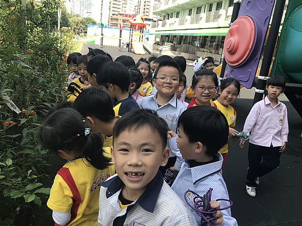 放大圖：