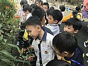 最新相簿圖片縮圖：