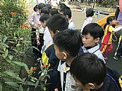 最新相簿圖片縮圖：