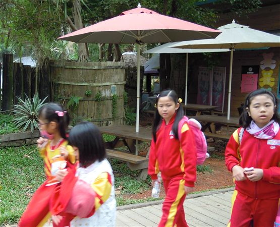 放大圖：