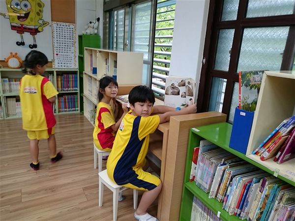 放大圖：