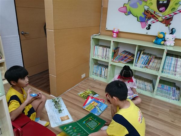 放大圖：