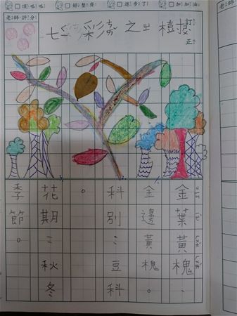 放大圖：