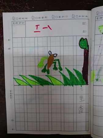 放大圖：