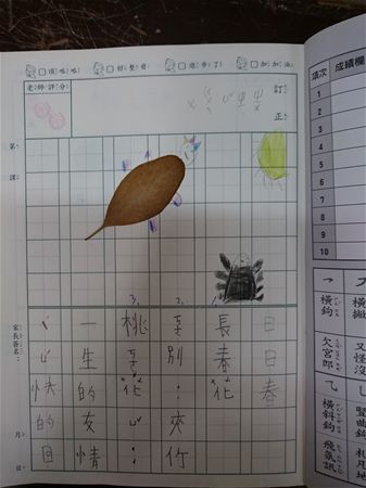 放大圖：