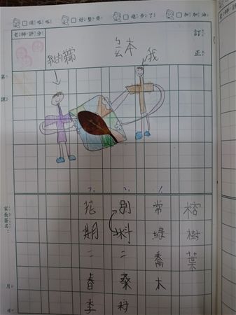 放大圖：