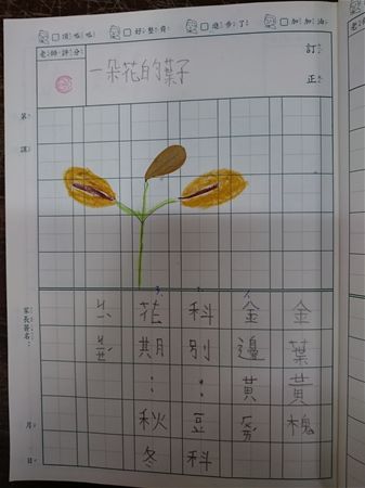 放大圖：