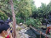 縮圖：