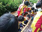 縮圖：