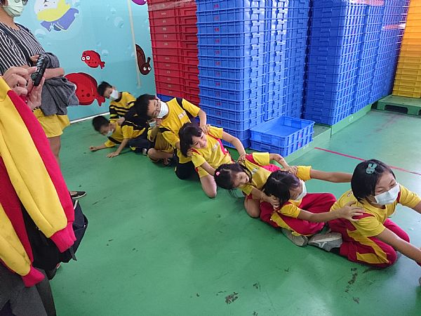 放大圖：