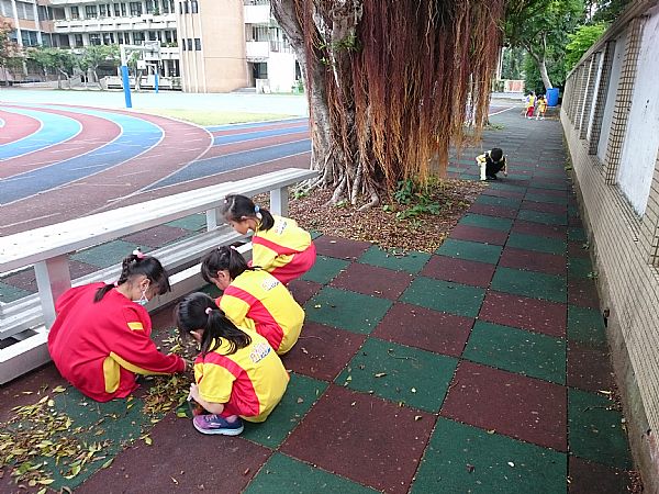 放大圖：