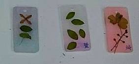 縮圖：