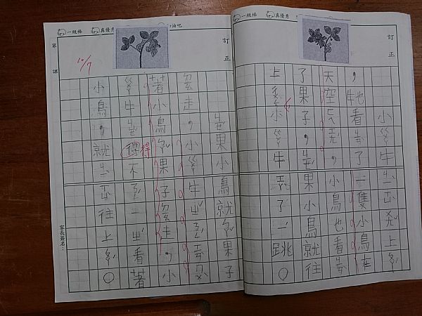 放大圖：