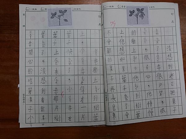 放大圖：