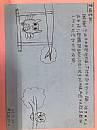 最新相簿圖片縮圖：