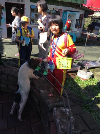 放大圖：