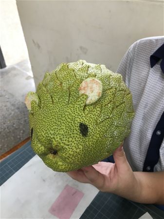 放大圖：