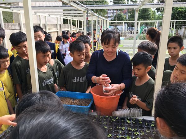 放大圖：