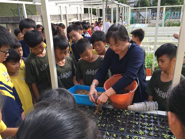 放大圖：