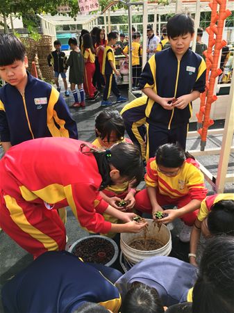 放大圖：
