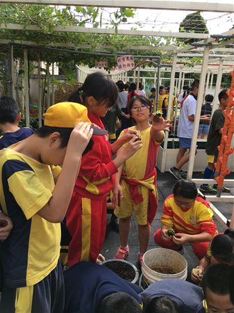 放大圖：