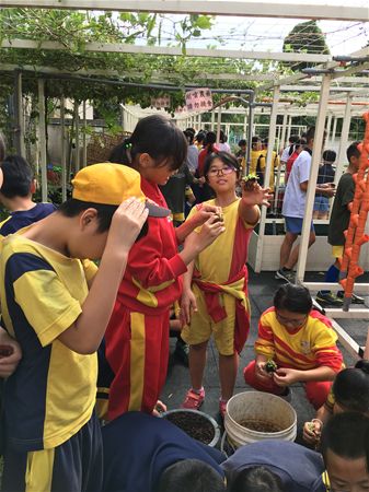 放大圖：