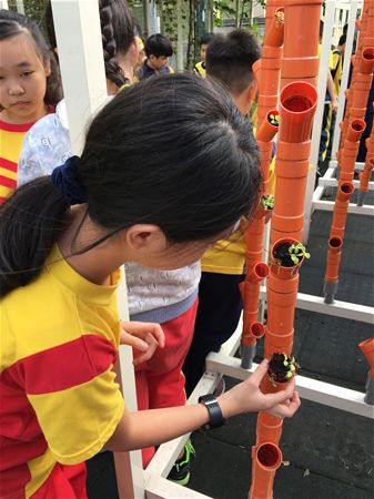 放大圖：