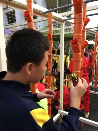 放大圖：