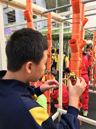 放大圖：