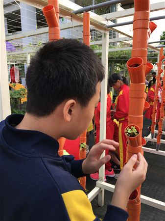 放大圖：