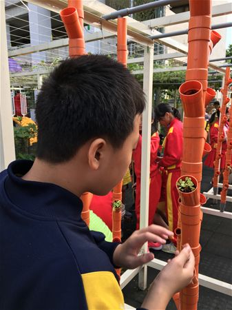 放大圖：