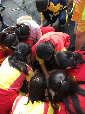 放大圖：