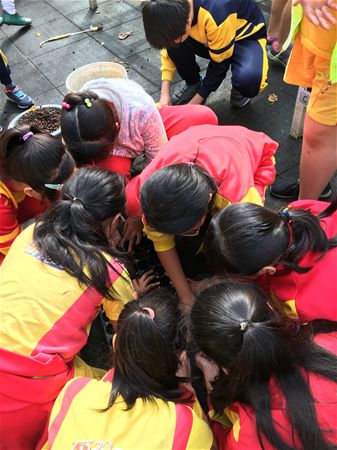 放大圖：
