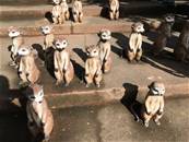 縮圖：