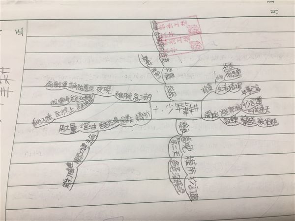 放大圖：