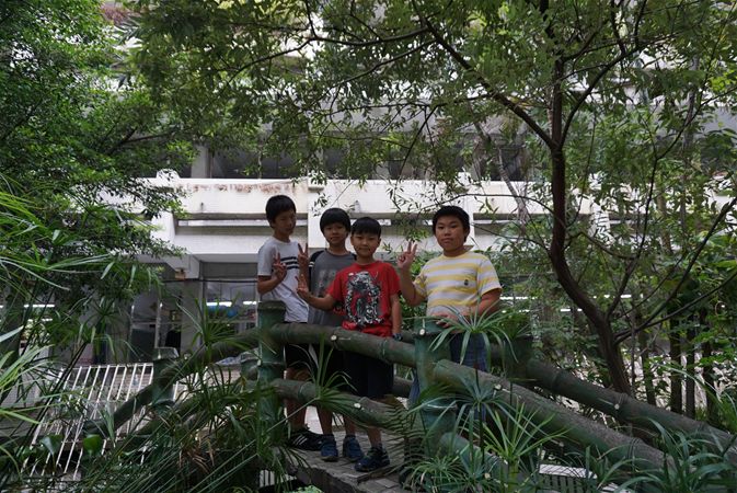 放大圖：